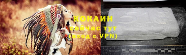 прущие крисы Богданович