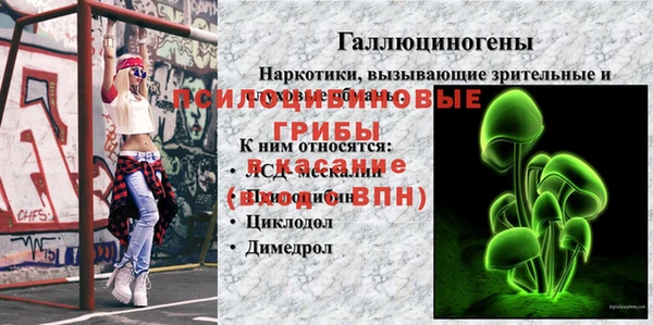 хмурый Богородск