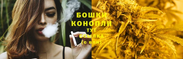 хмурый Богородск